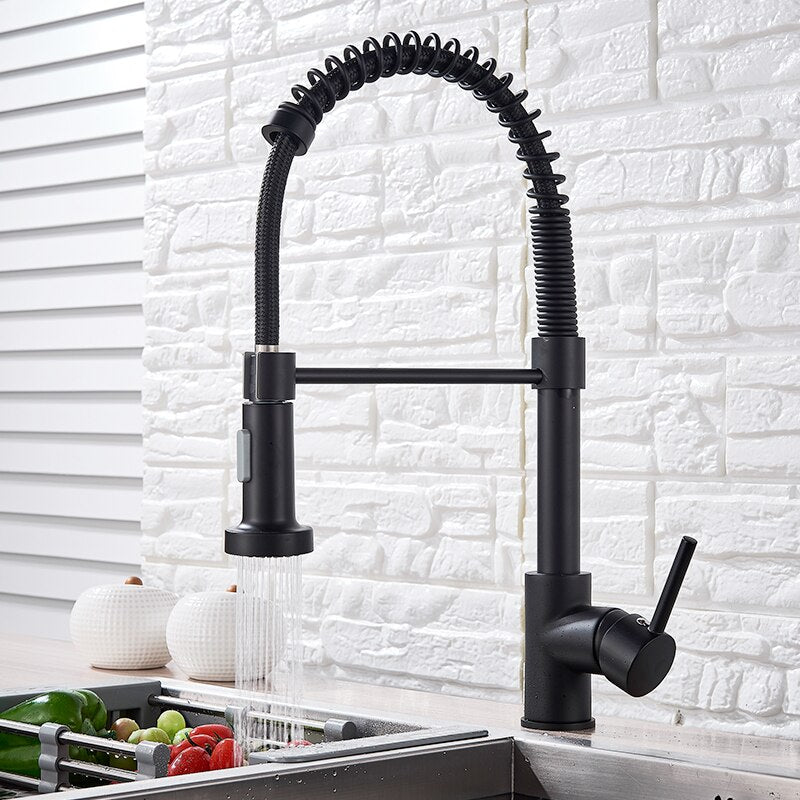 Kitchen Sink Faucet™